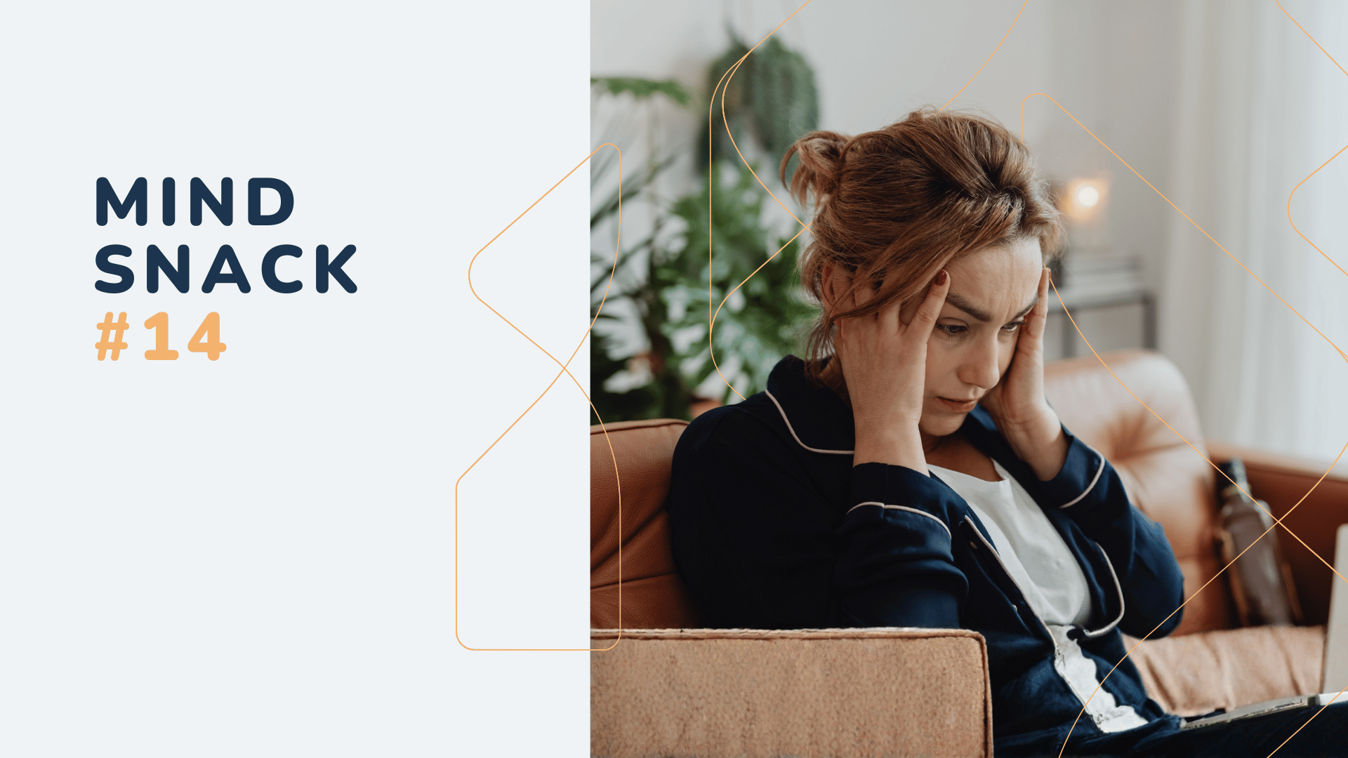 MindSnack Header